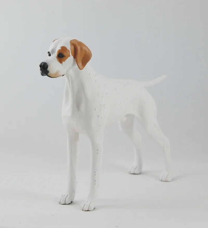 English Pointer