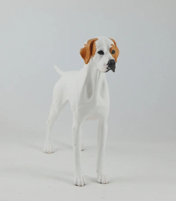 English Pointer