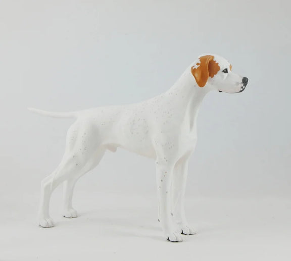 English Pointer