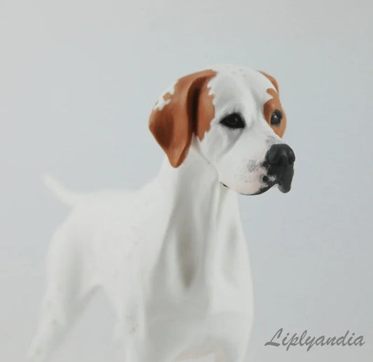 English Pointer