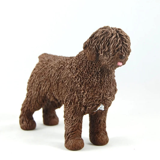 Spanish Water Dog