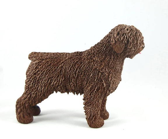 Spanish Water Dog