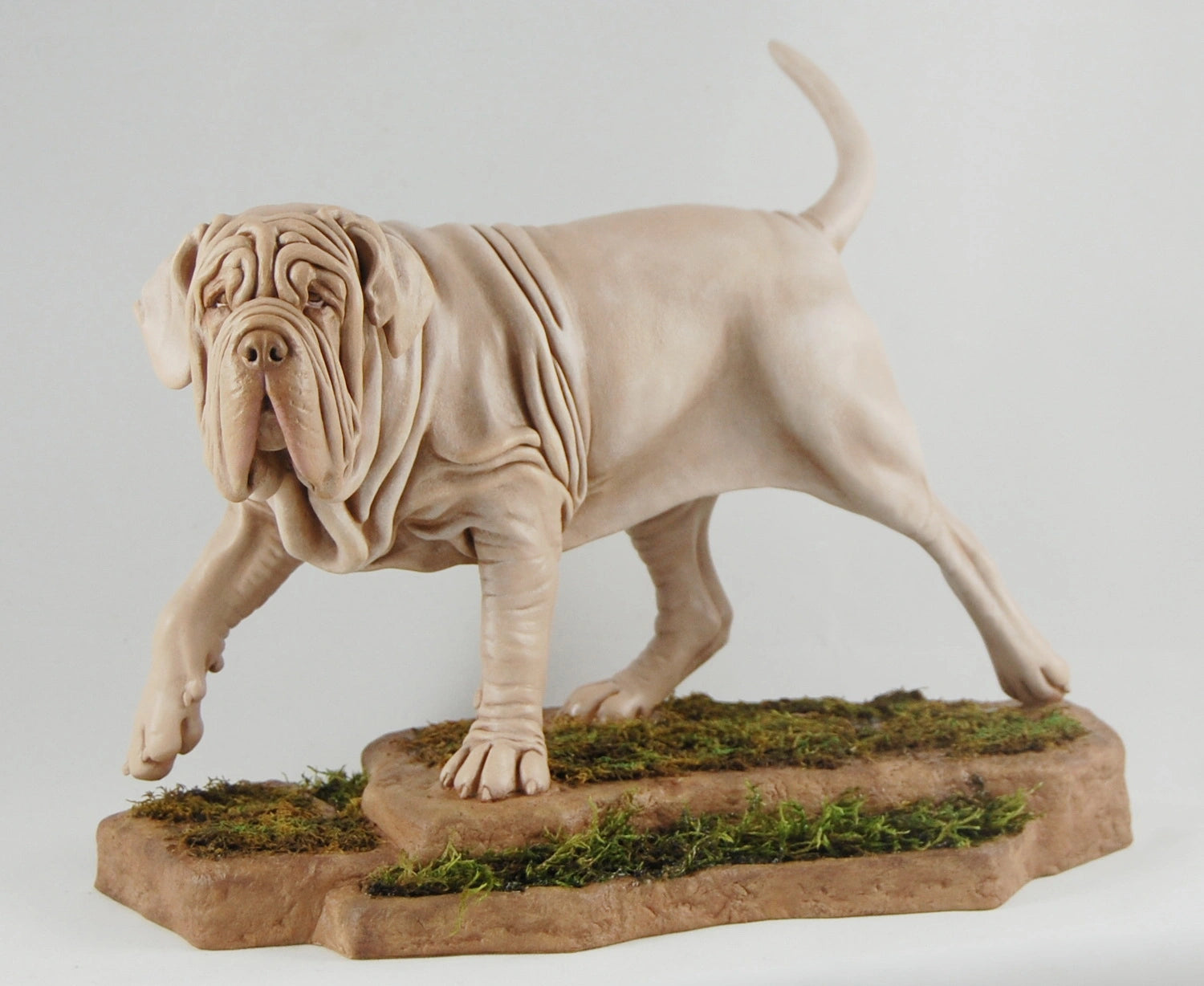 Neapolitan Mastiff