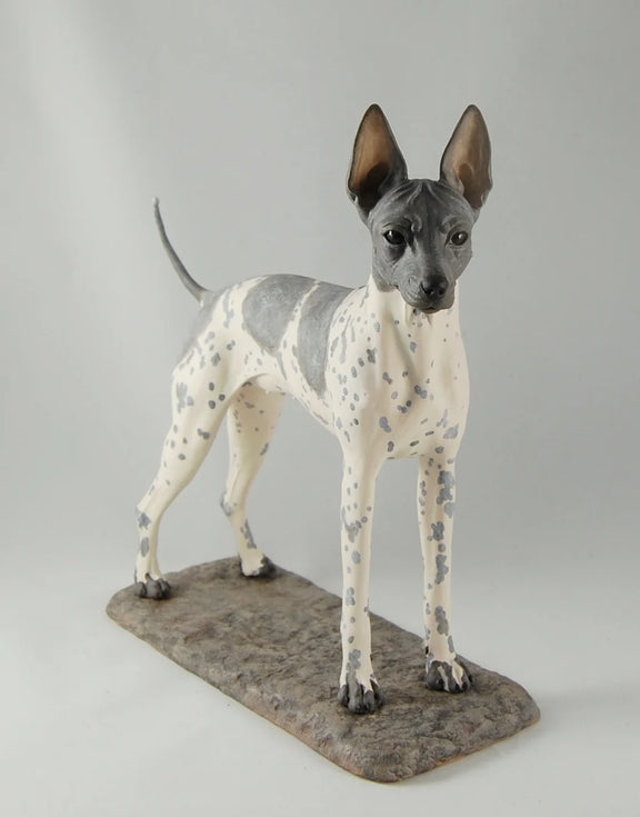 American Hairless Terrier