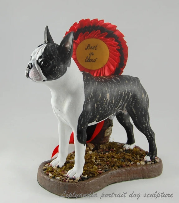 Boston Terrier