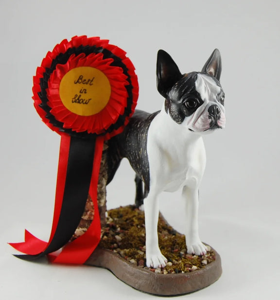 Boston Terrier