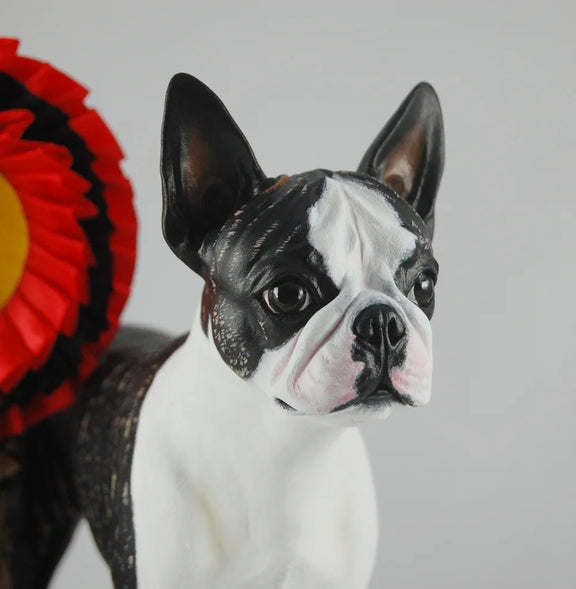 Boston Terrier