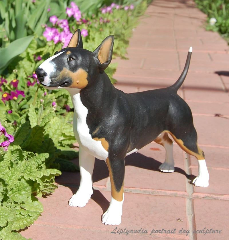 Bullterrier