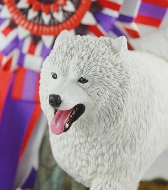 Samoyed