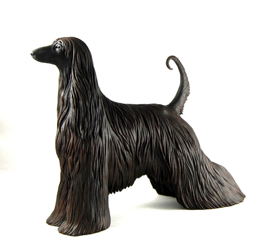 Afghan Hound