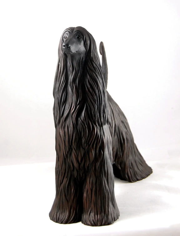 Afghan Hound