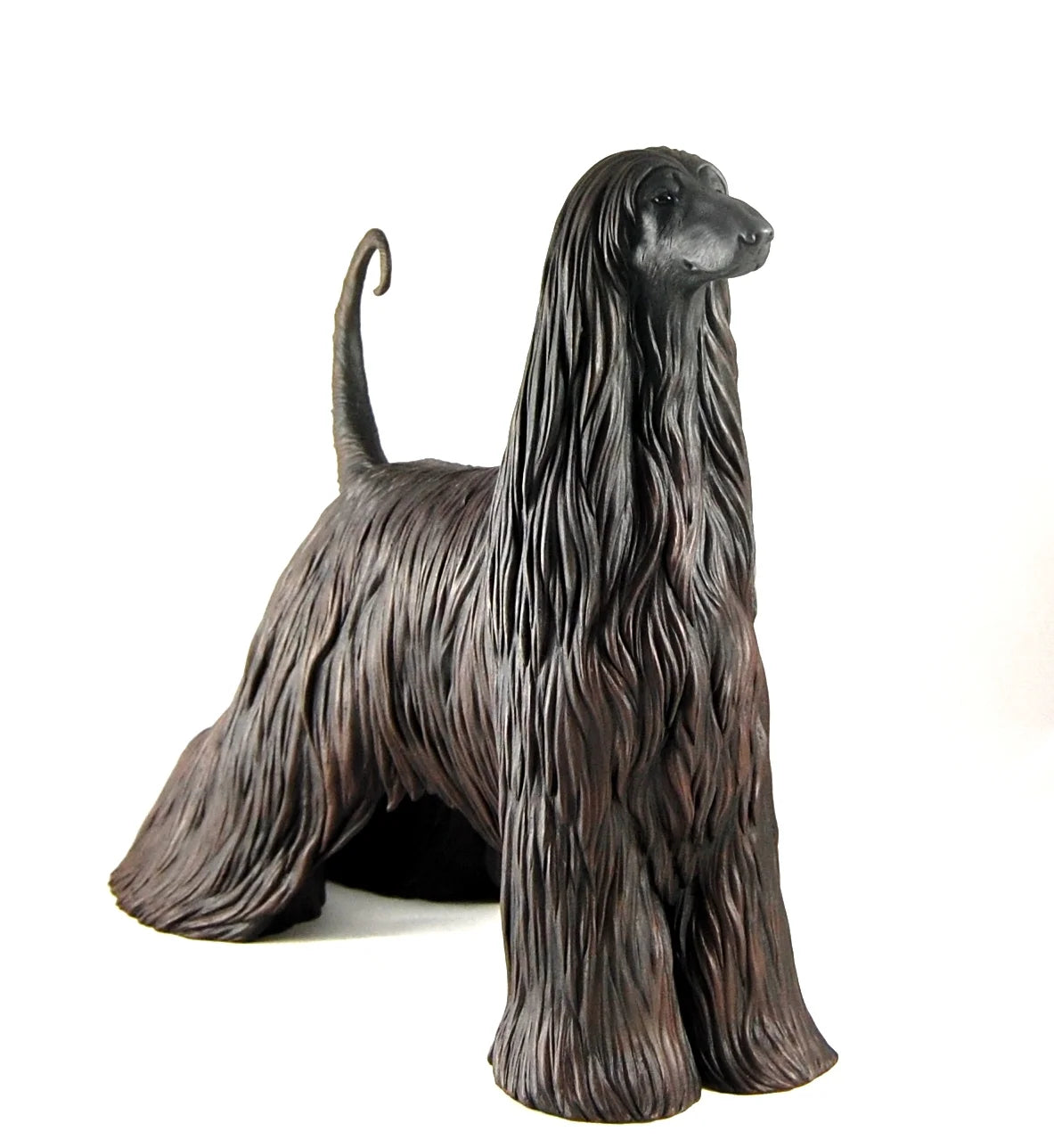 Afghan Hound