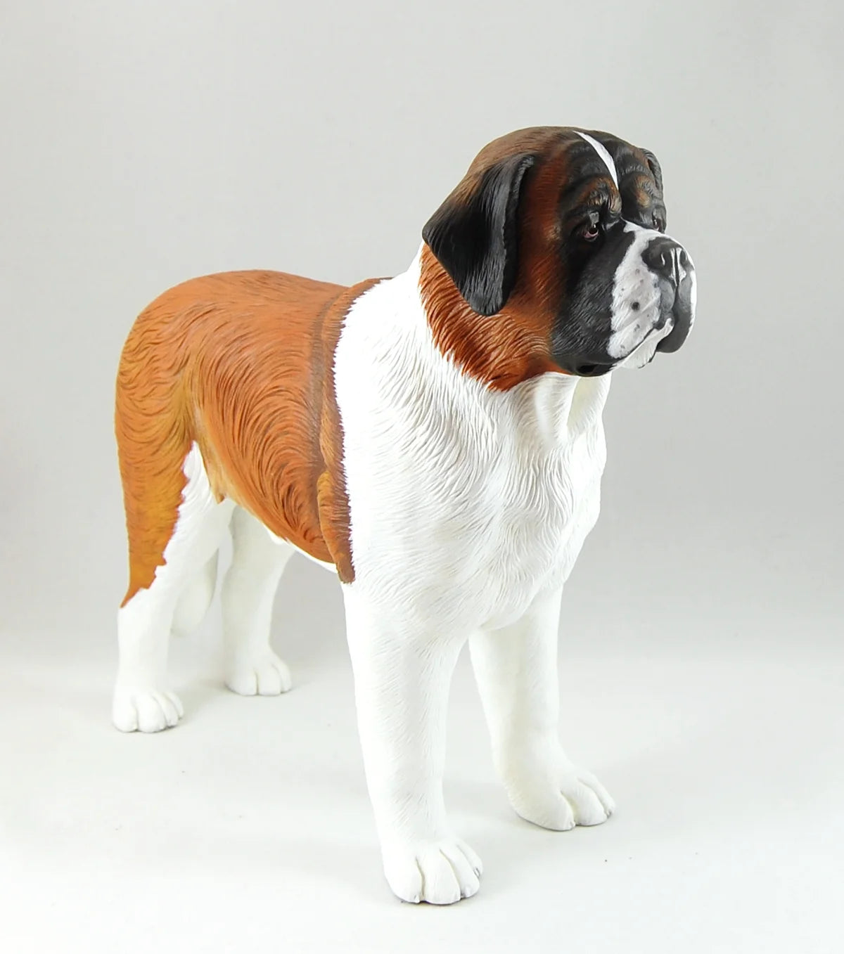 St. Bernard