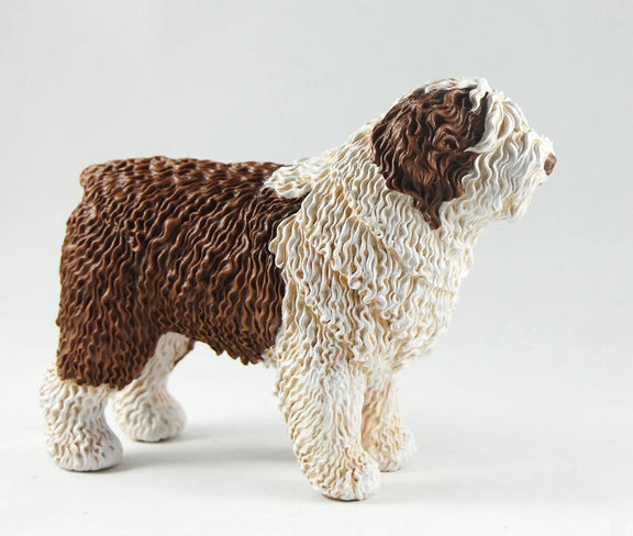 Spanish Water Dog