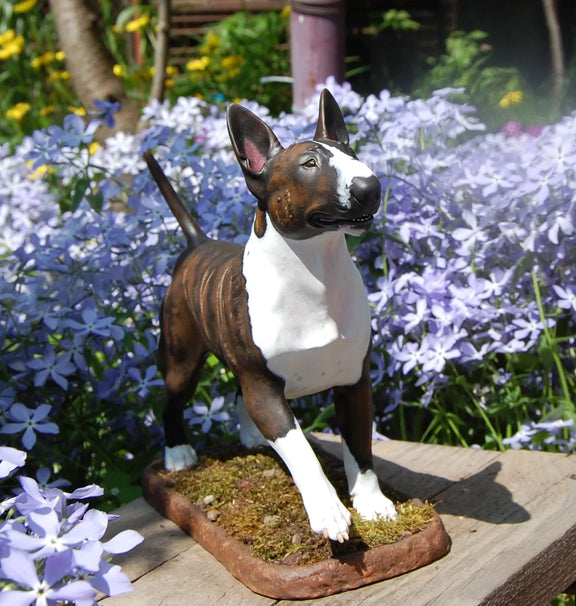 Bullterrier