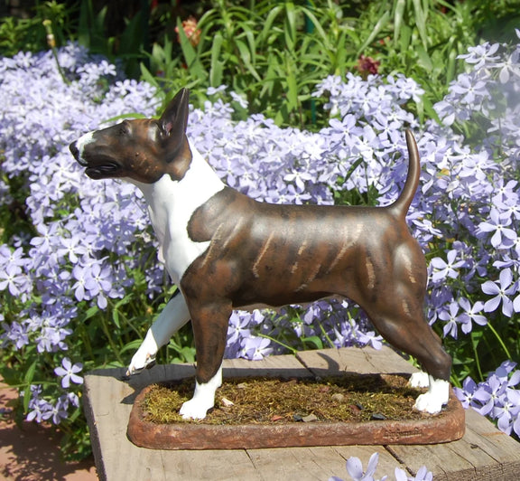 Bullterrier