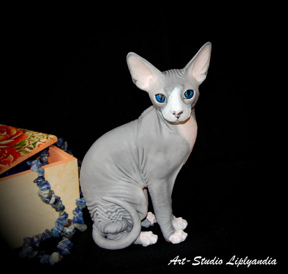 Sphynx Cat