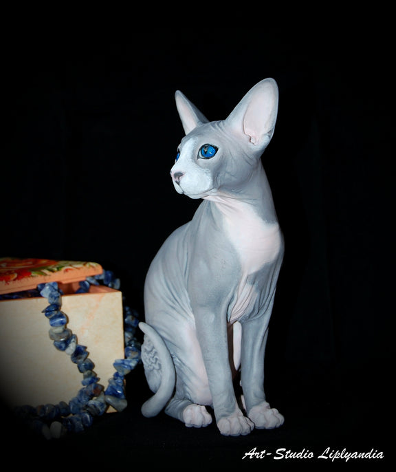 Sphynx Cat