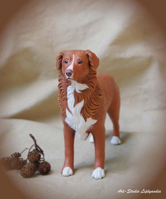 Nova Scotia Duck Tolling Retriever