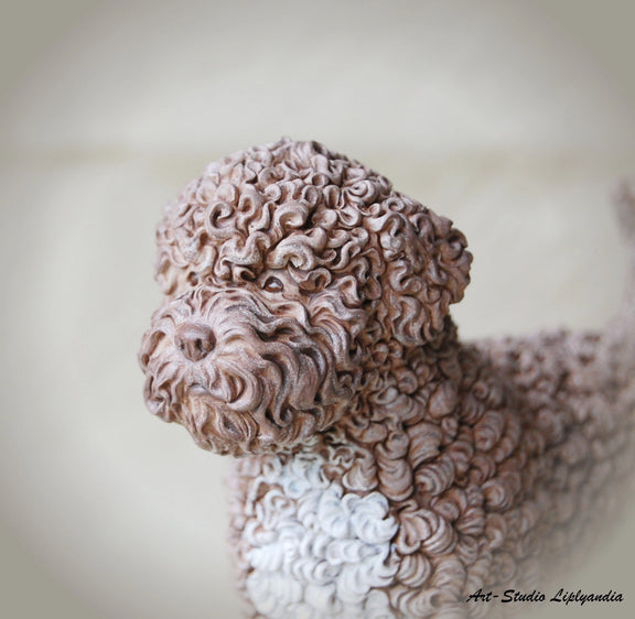 Lagotto Romagnolo