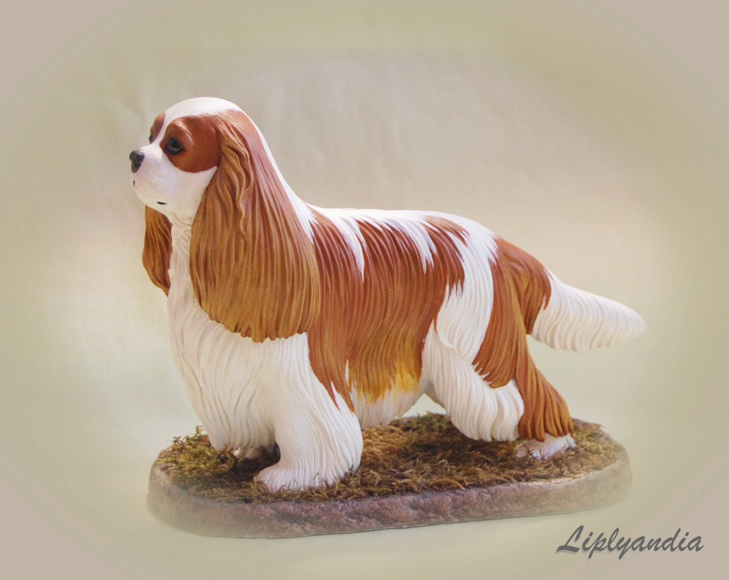 Cavalier King Charles Spaniel