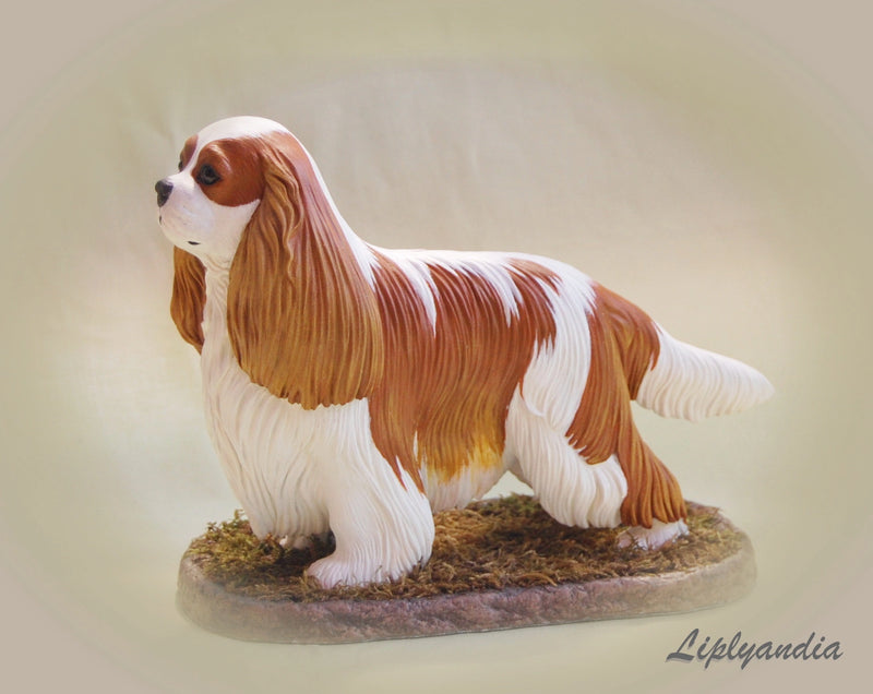 Cavalier King Charles Spaniel