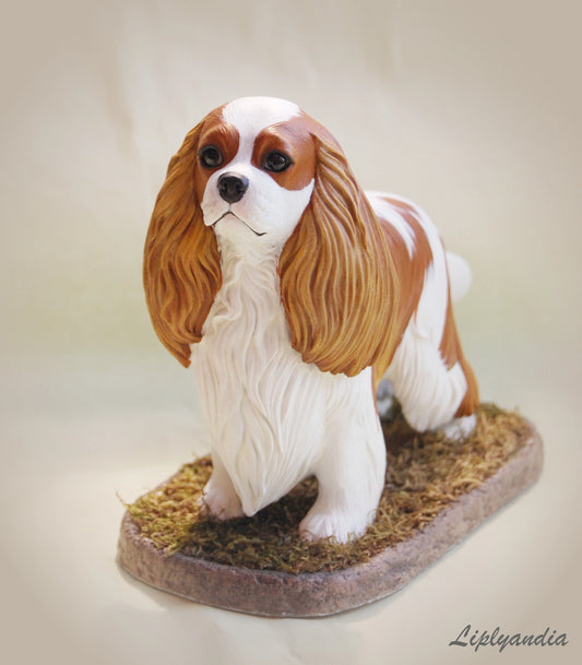 Cavalier King Charles Spaniel