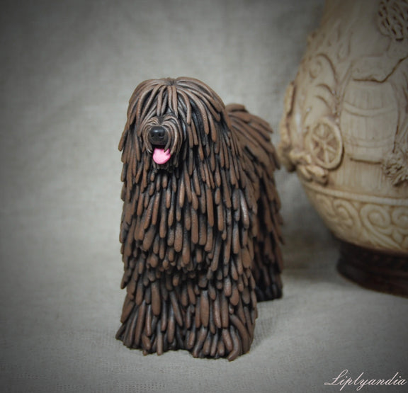 Bergamasco Sheepdog