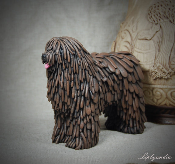 Bergamasco Sheepdog