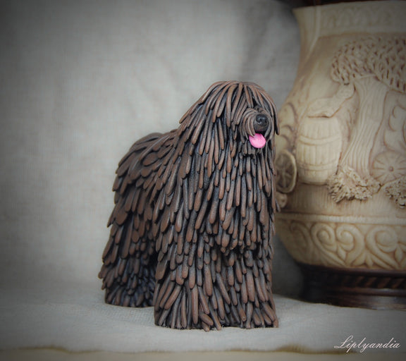 Bergamasco Sheepdog