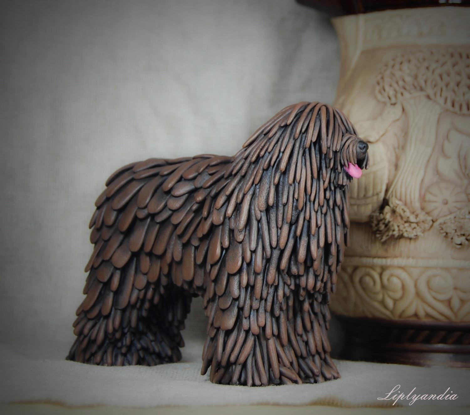 Bergamasco Sheepdog