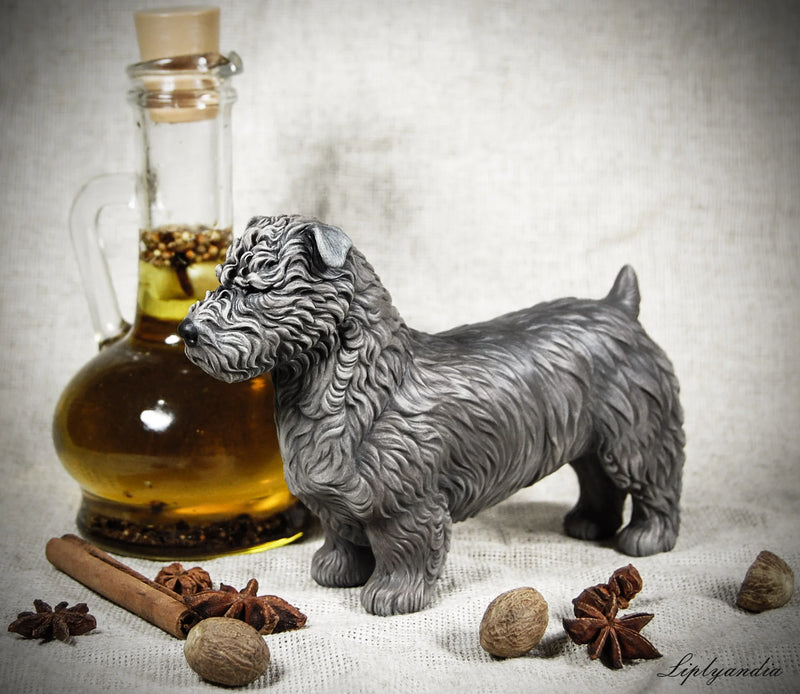 Glen of Imaal Terrier