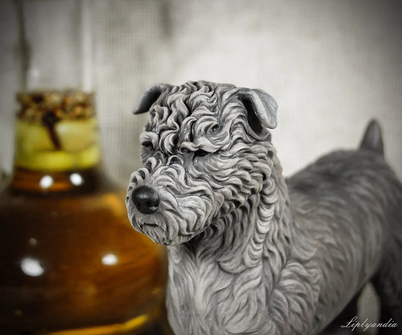 Glen of Imaal Terrier