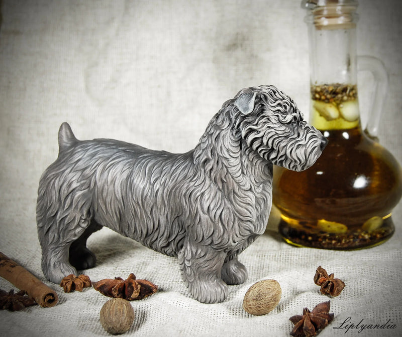 Glen of Imaal Terrier