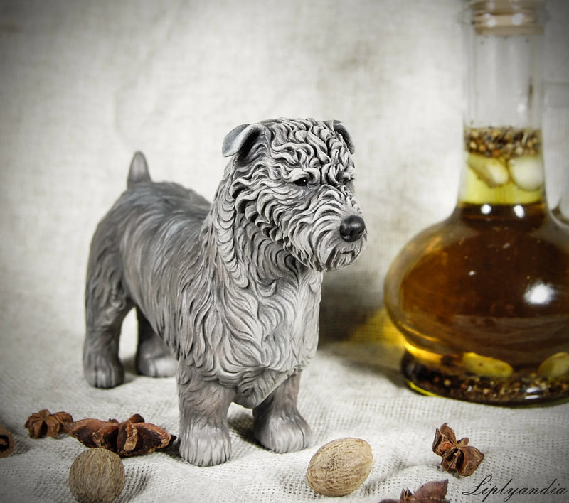 Glen of Imaal Terrier