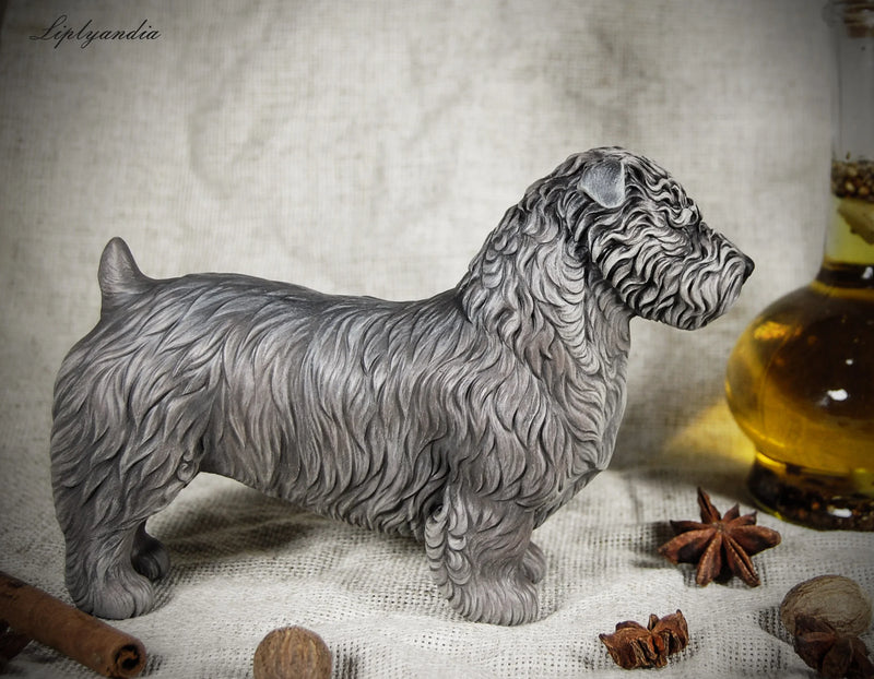 Glen of Imaal Terrier