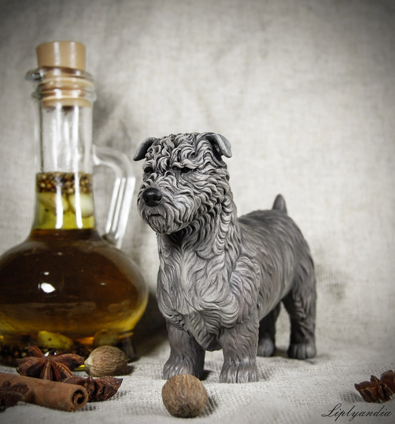 Glen of Imaal Terrier