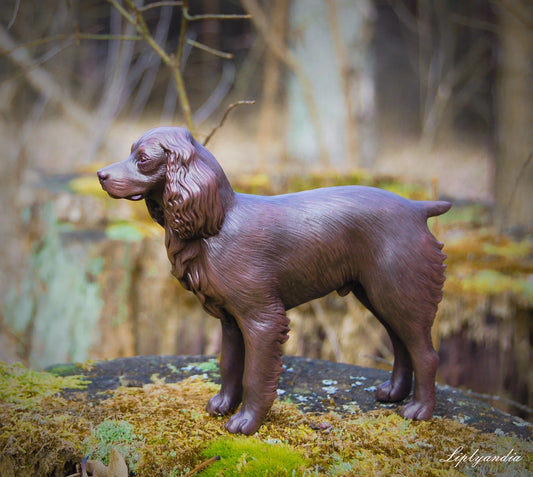 Boykin Spaniel