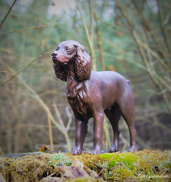 Boykin Spaniel