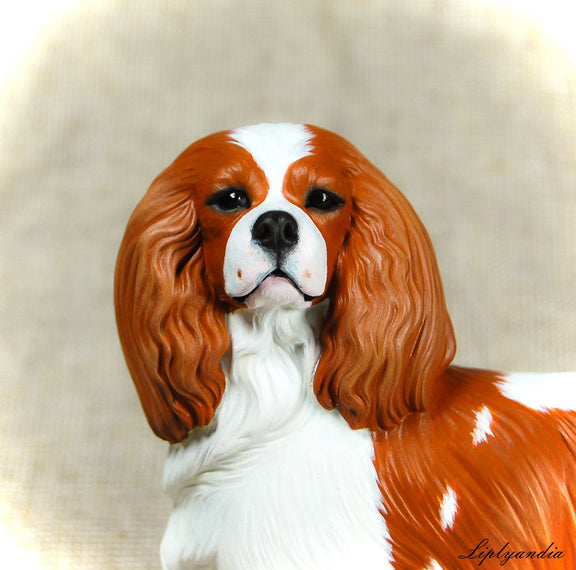 Cavalier King Charles Spaniel