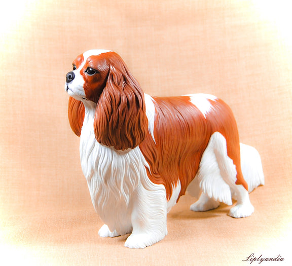 Cavalier King Charles Spaniel