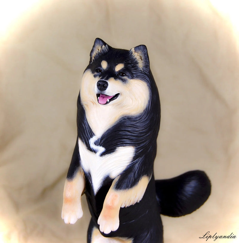 Finnish Lapphund