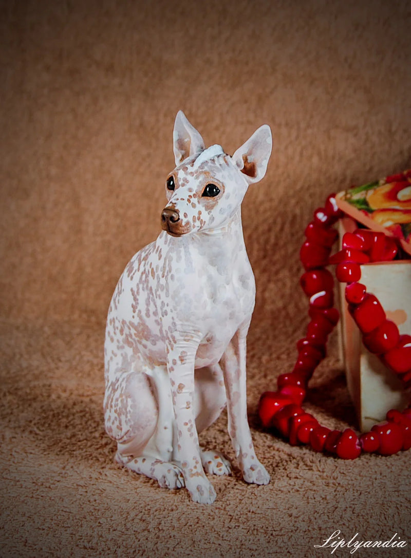 Peruvian Inca Orchid