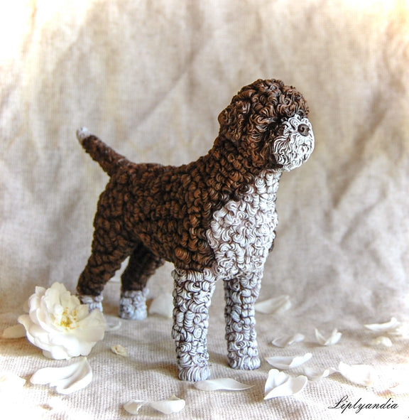 Lagotto Romagnolo