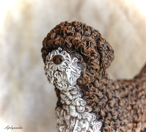 Lagotto Romagnolo