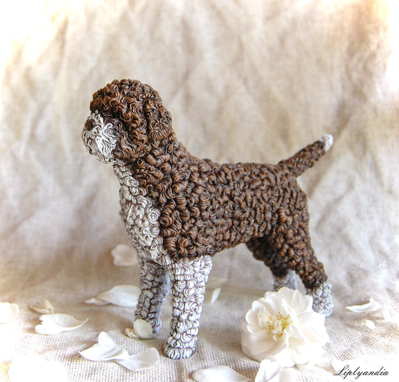 Lagotto Romagnolo