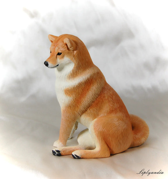 Shiba Inu