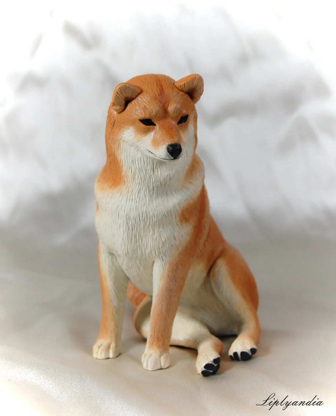 Shiba Inu