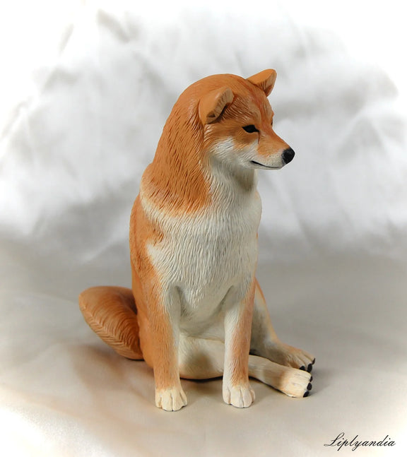 Shiba Inu