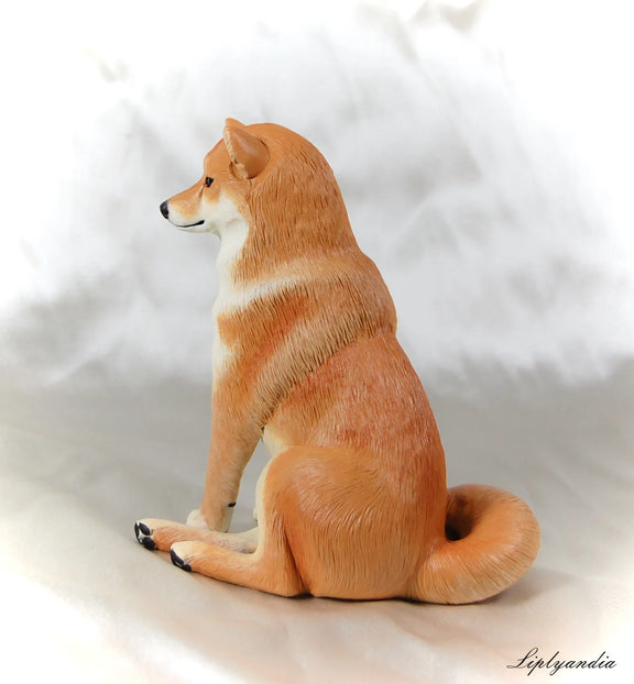 Shiba Inu